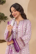 Printed Lawn 3 Piece in Light Grey Color