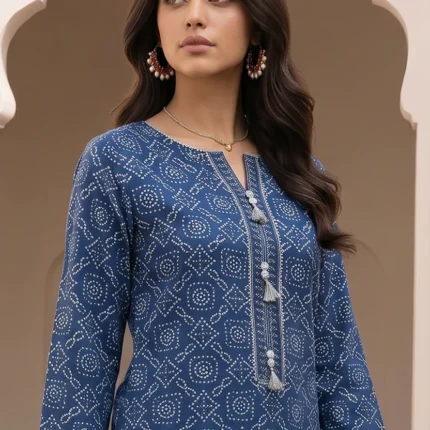 Embroidered Lawn 2 Piece WUS26E20809