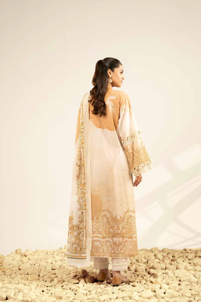 Printed Cambric 3 Piece in Beige Color 42502090